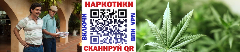 Все наркотики Краснозаводск Псилоцибиновые грибы  МАРИХУАНА  A-PVP  МЕФ  Гашиш 