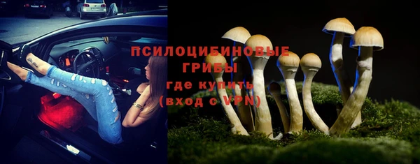 амф Белоозёрский
