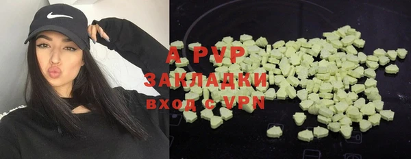 амф Белоозёрский