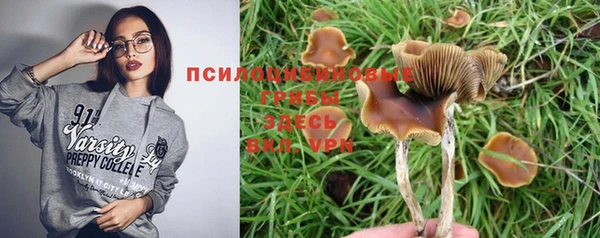 синтетический гашиш Белокуриха