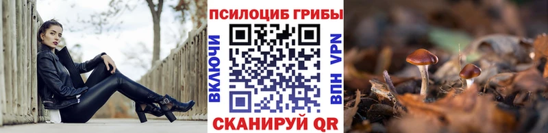 магазин    Краснозаводск  Псилоцибиновые грибы GOLDEN TEACHER 